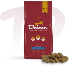 Delcon Regular Plus Fish 12 kg Hypoallergén - Prémium kutyatáp - hal