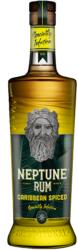  Neptune Caribbean Spiced Rum 0, 7L 37, 5% - mindenamibar