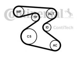 CONTITECH Set curea transmisie cu caneluri SKODA FABIA I (6Y2) (1999 - 2008) CONTITECH 6PK1873K1