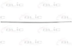 BLIC Bandou protectie usa VW PASSAT Variant (3C5) (2005 - 2011) BLIC 5703-04-9540572CP