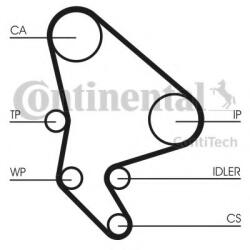 CONTITECH Curea distributie PEUGEOT 807 (E) (2002 - 2016) CONTITECH CT1037