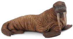 CollectA Figurina Morsa L (COL88569L) Figurina