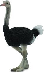 CollectA Figurina Strut L (COL88459L) Figurina