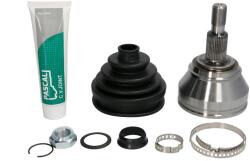 PASCAL Kit cap planetara AUDI A3 (8L1) (1996 - 2003) PASCAL G1W028PC