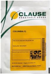 HM.CLAUSE Seminte Castraveti fabio COLUMBIA F1 Clause - 100 seminte (PR-101523)