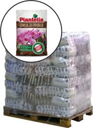 Plantella Pamant orhidee Plantella - 3 litri (40333)