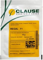 HM.CLAUSE Seminte Castraveti cornichon REGAL F1 Clause - 10 g (PR-100244)