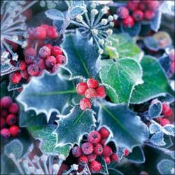 Ambiente Frozen Holly papírszalvéta 33x33cm, 20db-os