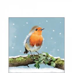 Ambiente Robin on branch papírszalvéta 25x25cm, 20db-os - szep-otthon