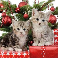 Ambiente Christmas Kitten papírszalvéta 33x33cm, 20 db-os