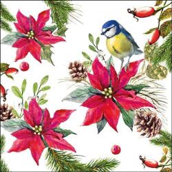 Ambiente Bird on Poinsettia white papírszalvéta 33x33cm, 20 db-os