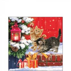 Ambiente Kittens On Doorstep papírszalvéta 25x25cm, 20db-os