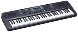 Medeli Millenium Series IK100 (IK100)