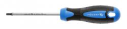 Högert Technik HT1S056 Csavarhúzó torx T25, 100 mm, S2 acél (HT1S056)