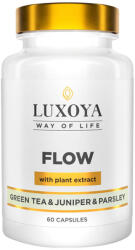 Luxoya FLOW Vízanyagcsere támogató kapszula 60 db