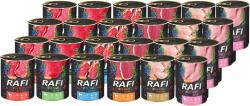 Dolina Noteci DOLINA NOTECI Rafi kutyáknak mix ízesítéssel 30x800g