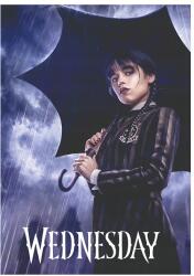 Astra Wednesday gumis mappa A4