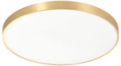 Zuma Line Sierra arany-fehér LED mennyezeti lámpa (ZU-CL12100009-GD) LED 1 izzós IP20 (ZU-CL12100009-)