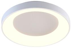 Zuma Line Cameron fehér LED mennyezeti lámpa (ZU-MX4019-1M-3WT) LED 1 izzós IP20 (ZU-MX4019-1M-3)