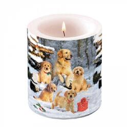 Ambiente Karácsonyi átvilágítós gyertya 10x10xcm Golden retriever