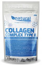  Csirke kollagén kivonat 50g - II. típusú (Collagen Complex)