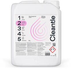 Cleantle Spuma activa Cleantle Citrus Foam, 5L (CTL-CF5L)