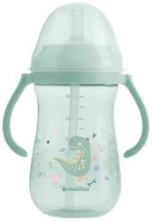 KikkaBoo Чаша със силиконовa сламка KikkaBoo - Dino World, Mint, 300 ml (31302030077)
