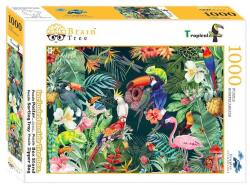 Brain Tree 1000 db-os puzzle - Tropical (2102054) (2102054)