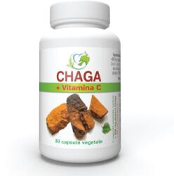 Justin Pharma Chaga 450 mg + Vitamina C, 30 capsule, Justin Pharma