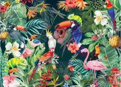 Brain Tree 2102054 - Tropical - 1000 db-os puzzle