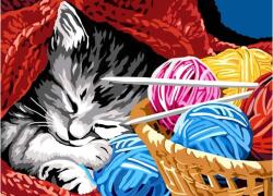 Brain Tree 2102057 - Kitty Snooze - 1000 db-os puzzle (2102057)