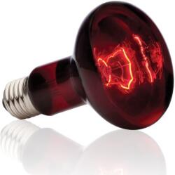 H. Exo-Terra 2144 Heat 100w - Lampă cu infraroșu
