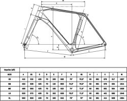 Bianchi Impulso Pro GRX (2024) Kerékpár