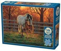 Cobble Hill 500 db-os puzzle - Quiet Time (45002)