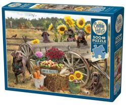 Cobble Hill 500 db-os puzzle - Choc Wagon (45096) (45096)