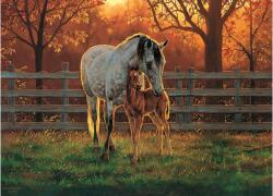 Cobble Hill 45002 - Quiet Time - 500 db-os puzzle - Quiet Time (45002)