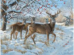 Cobble Hill 45024 - Winter Deer - 500 db-os puzzle (45024)