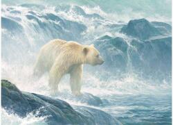 Cobble Hill 45026 Salmon Watch - Spirit Bear - 500 db-os puzzle (45026)