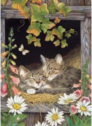 Cobble Hill 45041 - Sisters - 500 db-os puzzle (45041)