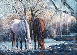 Cobble Hill 45056 - Winters Beauty - 500 db-os puzzle (45056)