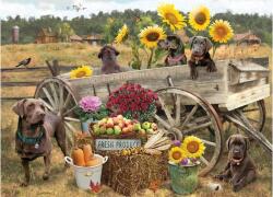 Cobble Hill 45096 - Choc Wagon - 500 db-os puzzle (45096)