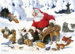 Cobble Hill 47028 - Santa Claus and Friends - 350 db-os Family puzzle (47028)