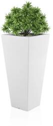 Designer virágcserép MONUMO SLIM LINE M fehér (SLIM LINE M-WHT)