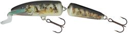 Salmo Fanatic 7 0, 5-1m 5g 7cm lebegő RG 1db (84387-170)