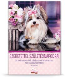 Ars Una születésnapi extra borítékos lila képeslap üdvözlőlap B masnis kutya (8440) (00384407)