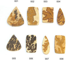 Cabochon German Dendritic Limestone Natural - Dreptunghi - Picatura - Oval - 24-48 x 15-38 x 5-7 mm - 1 Buc
