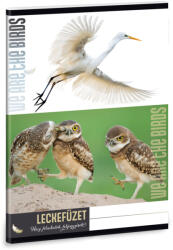 Ars Una Ars Una Máté Bence Wild Life Moments-2 A/5 leckefüzet (AA_50840434)