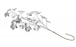 Chaks Creangă - Ginkgo biloba argintie