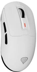 NATEC Zircon 660 Wireless (NMG-2192) Mouse