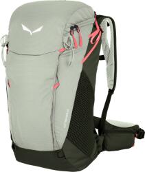Salewa Alp Trainer 25